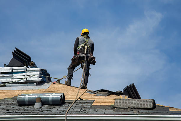 Professional Roofing technician working in Lewisville, IN